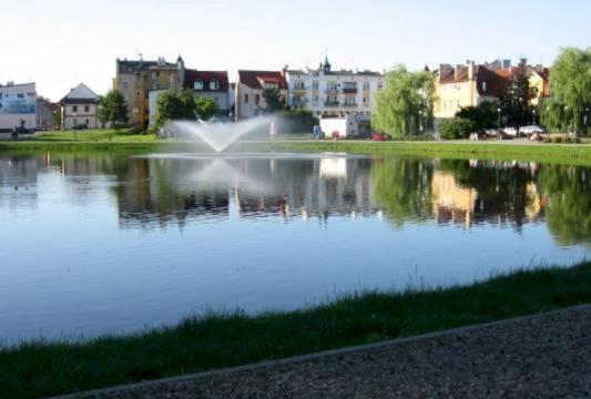 Apartament Green Mragowo-Mazury,Blisko Plaza, Centrum! Wi-Fi! 外观 照片